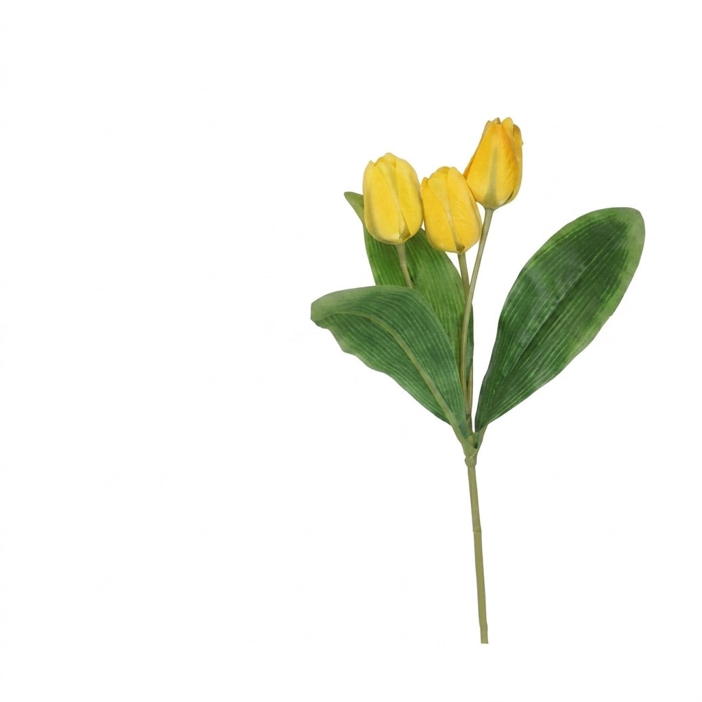 Tulip stem with 3 flowers