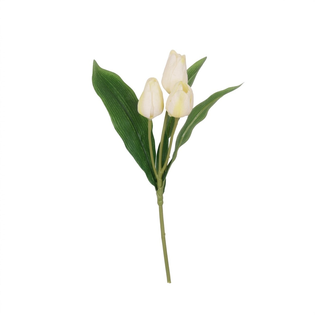 Tulip stem with 3 flowers