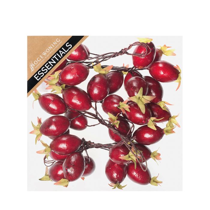 Røde hybenrosebær på wire