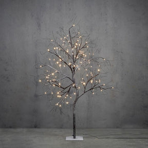 Lystræ 150 cm højt