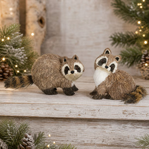 Raccoon 20 cm tall
