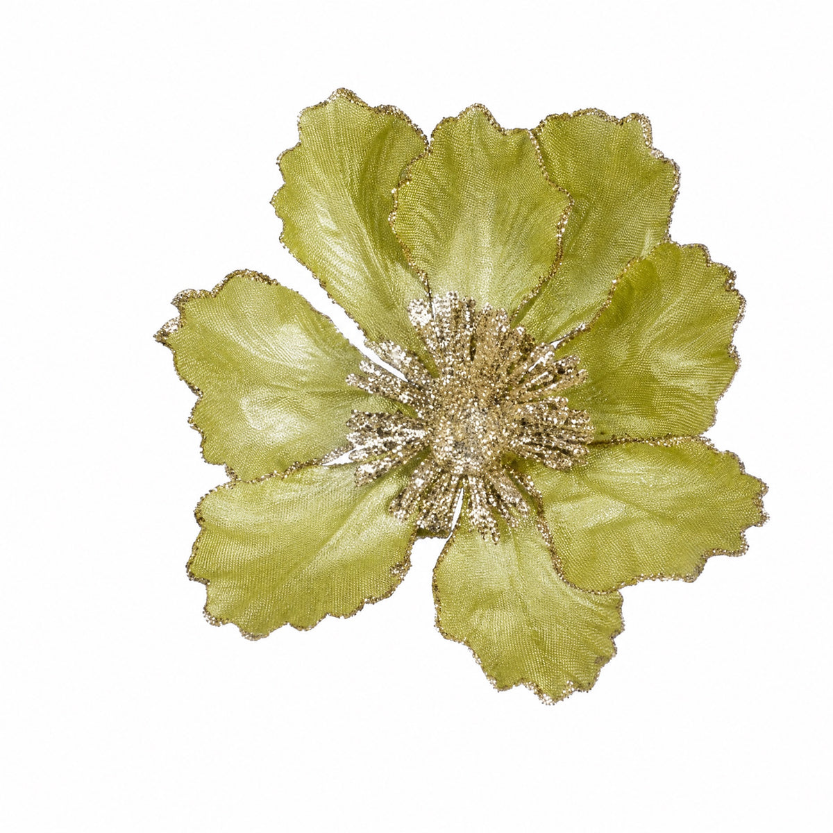 Magnolia flower on clip