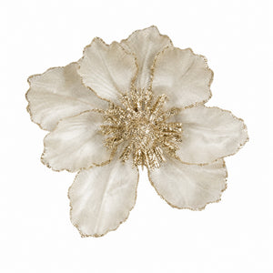 Magnolia flower on clip