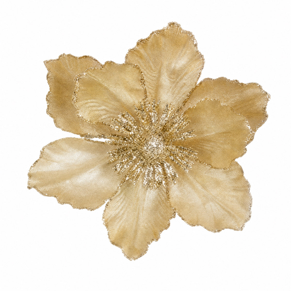 Magnolia flower on clip