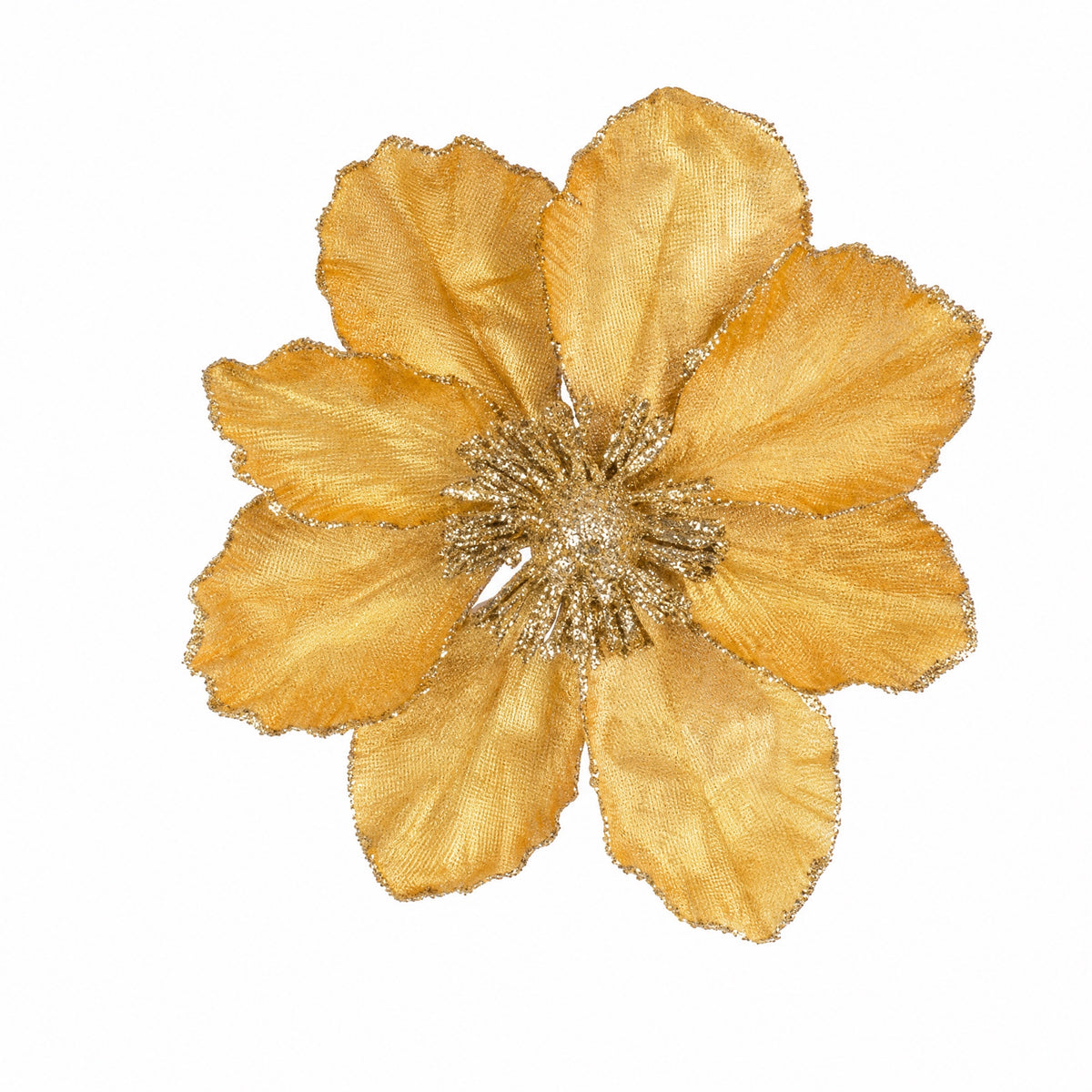 Magnolia flower on clip