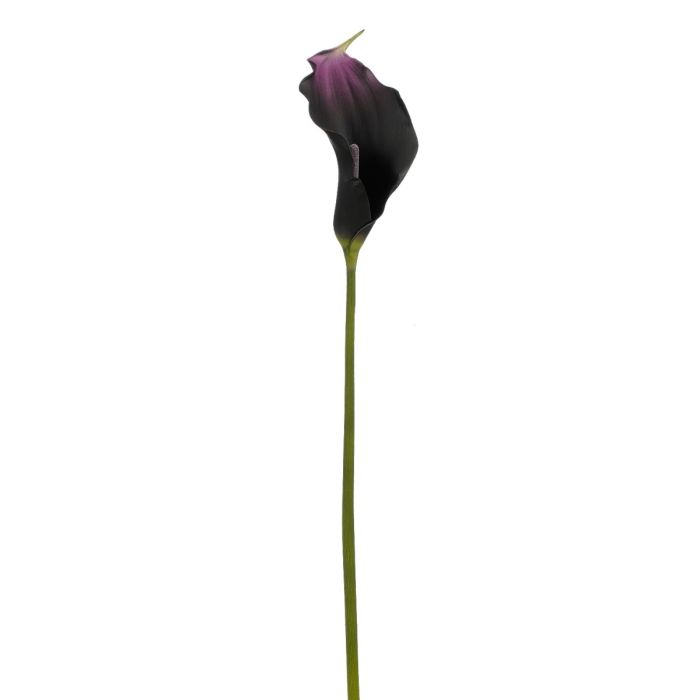 Calla blomsterstilk mørk lilla