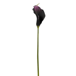 Calla blomsterstilk mørk lilla