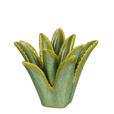 Lysestage Aloe Vera