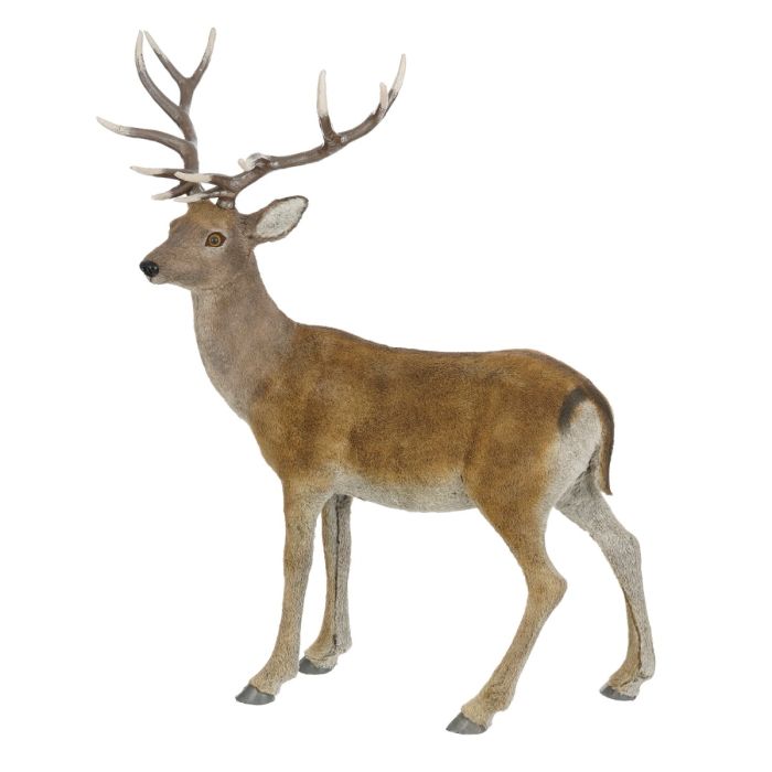 Large roe deer, 119 cm tall