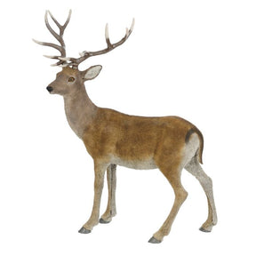 Large roe deer, 119 cm tall