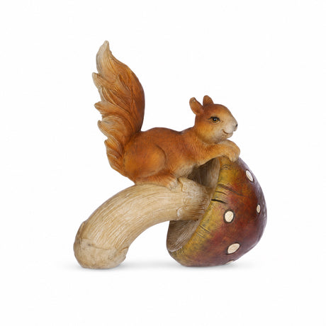 Squirrel with brown mushroom