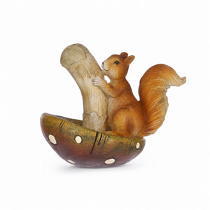Squirrel with brown mushroom