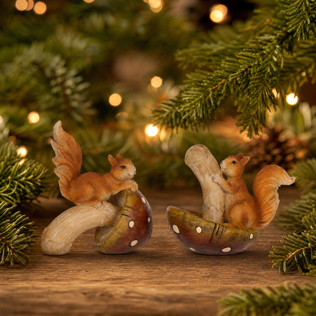 Squirrel with brown mushroom