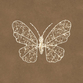 Butterfly with LED lights, 40 cm wide, for wall hanging, indoor or outdoor use