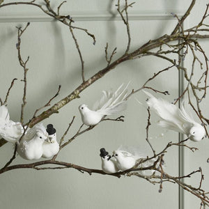 Hvid fugl med fjerhale og klips