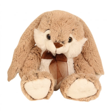 Easter bunnies with floppy ears