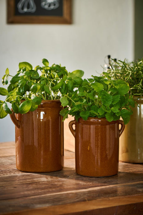 Tora brown ceramic pots with ear-shaped handles by Ib Laursen, filled with herbs.