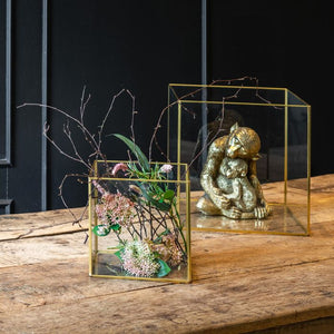 Guldfarvet abe med unge i skød