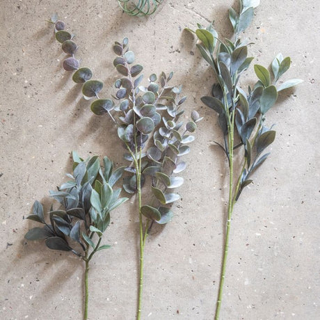 Eukalyptus stilk 30 cm