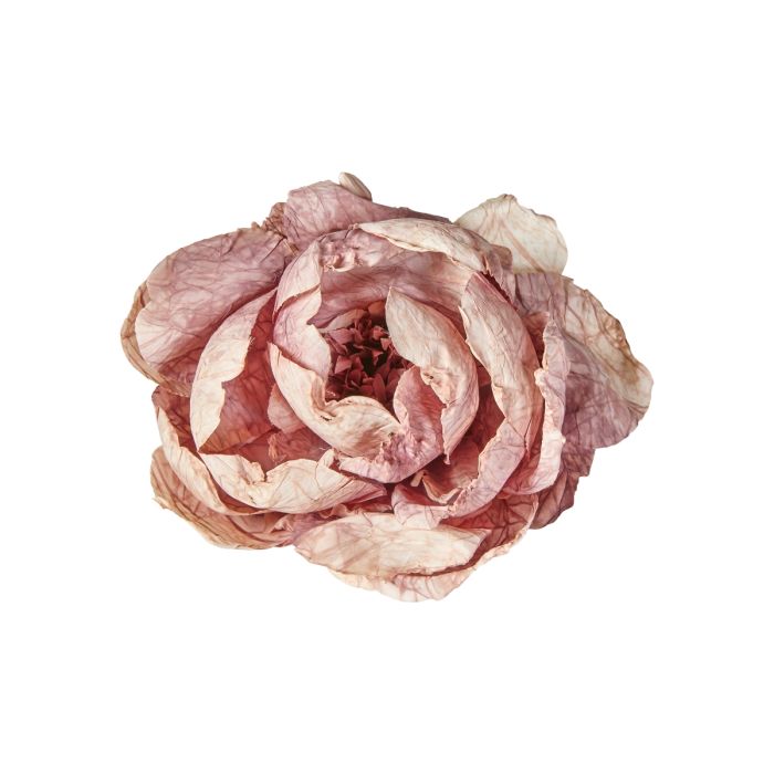 Blomsterhoved med klips pæon lys lilla