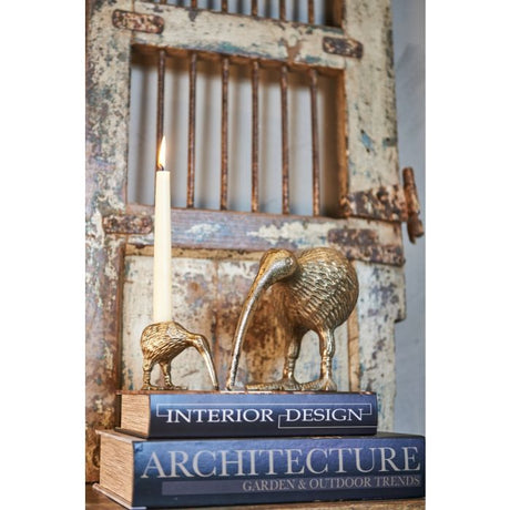 Guldfarvet kiwifugl til lys