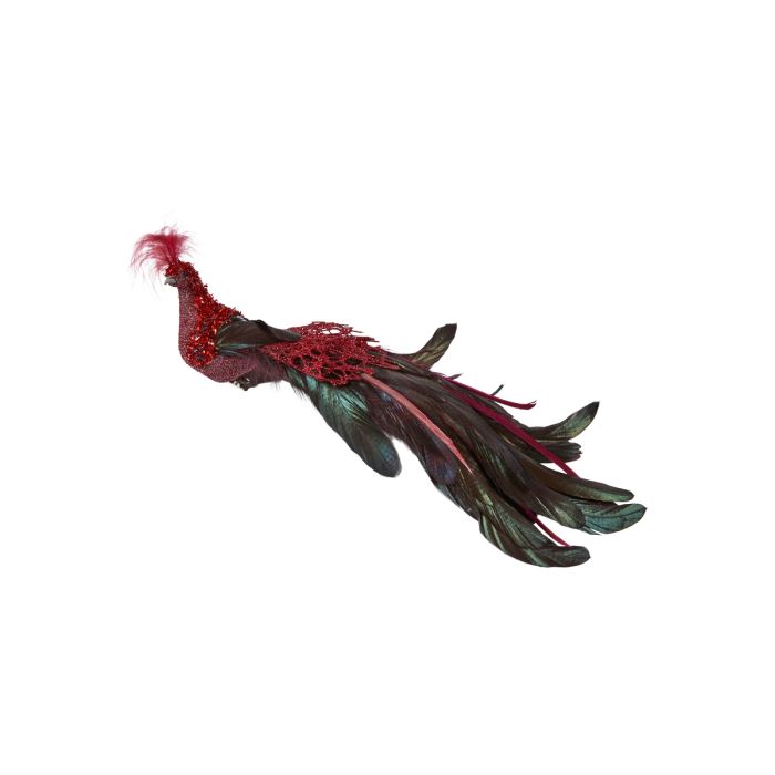 Rød påfugl med lang fjerhale