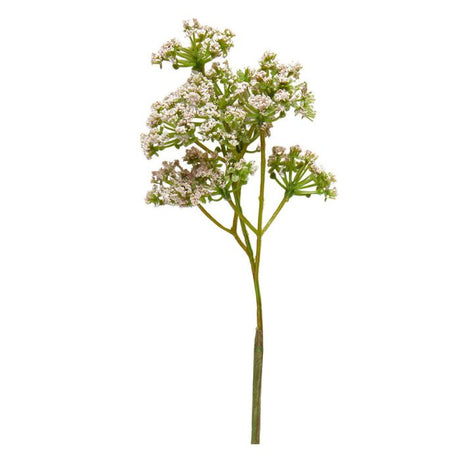 Blomsterstilk med små rosa blomster