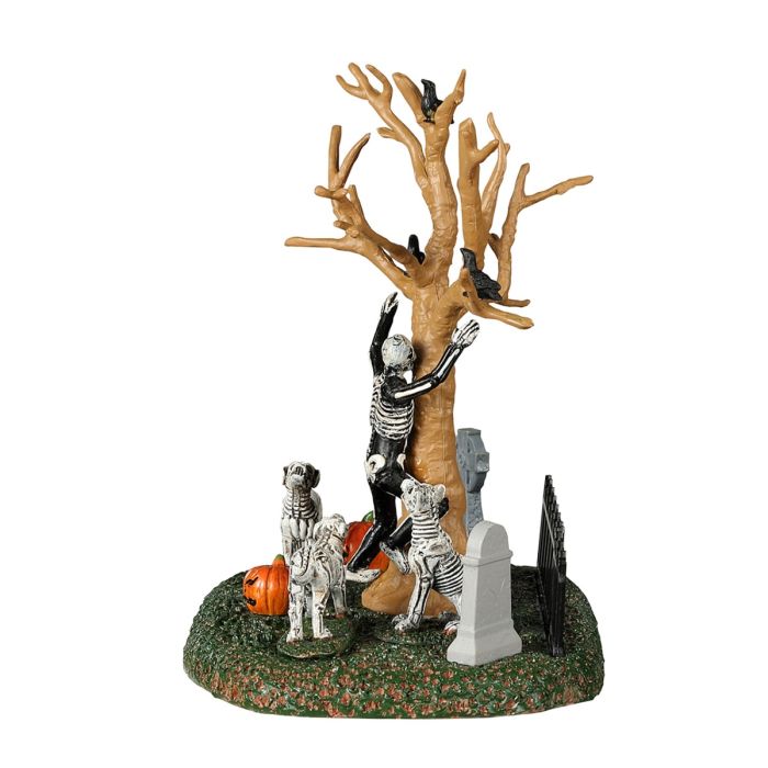 In The Wrong Graveyard