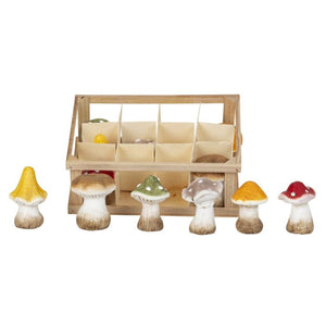 Små svampe i æske med 12 stk.