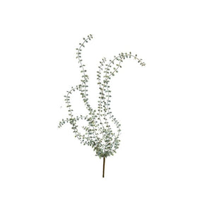 Hanging succulent stem 63 cm