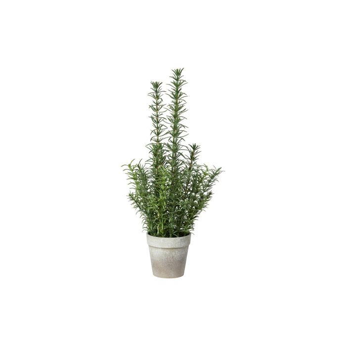 Rosmarin i potte, kunstig plante med grønne nåleagtige blade