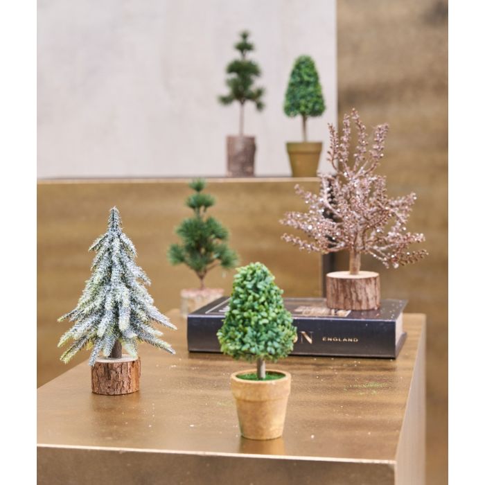 Buskbom kegle i potte 21 cm høj