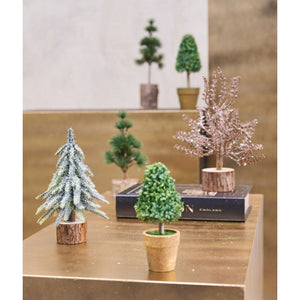 Buskbom kegle i potte 21 cm høj