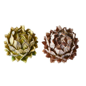 Protea blomsterhoved 12 cm i dia