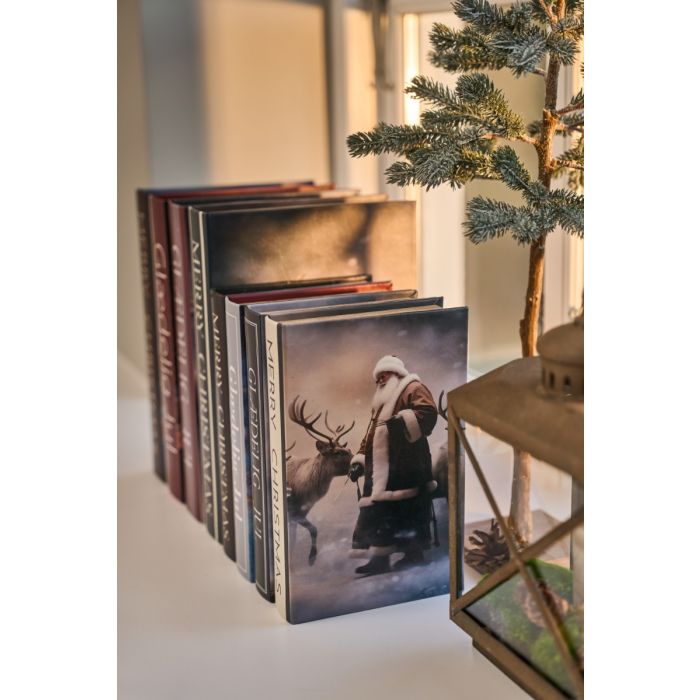 Speedtsberg bog/æske med julemotiv 2-pak