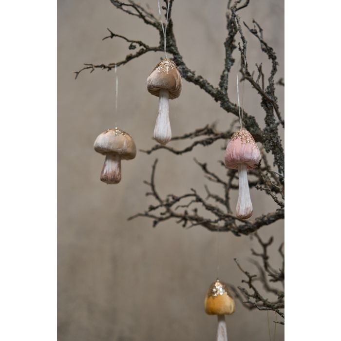 Bløde svampe hængende på gren.