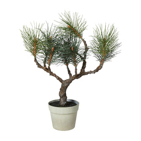 Artificial silk fir tree in pot, 60 cm tall, from speedtsberg