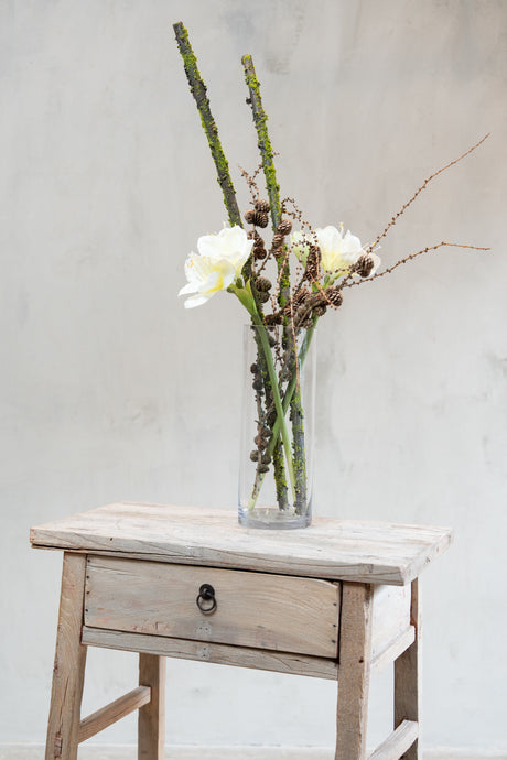 Cylindrical glass vase with amaryllis, pinecone branches and moss sprigs