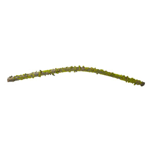 Bendable moss-covered branch, 102 cm long, from Speedtsberg