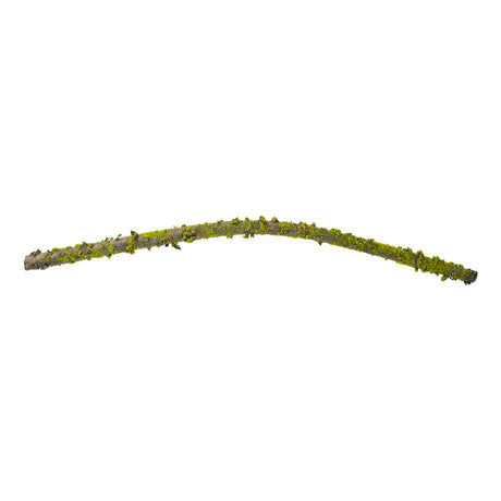 Bendable moss-covered branch, 102 cm long, from Speedtsberg
