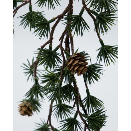 Krans med kogler tæt på