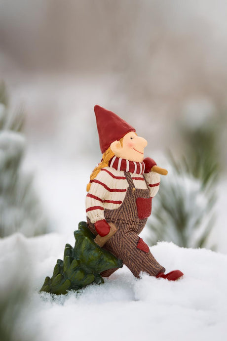 Ribenissen Freja with Christmas tree from Ib Laursen in the snow