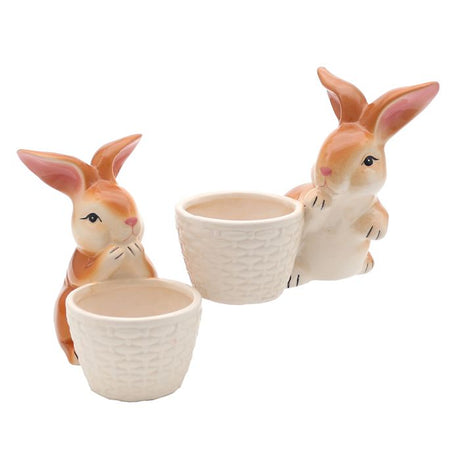 Hare med mini-urtepotte