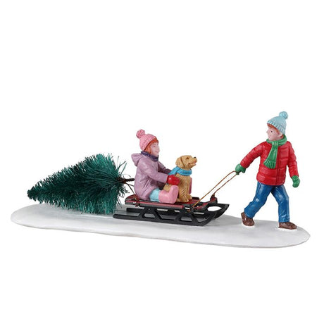 Bringing Home Our Tree