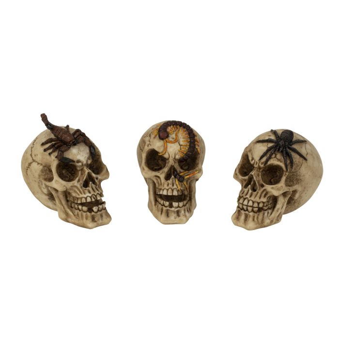 Kranium med leddyr