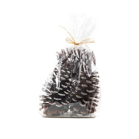 Store grankogler med sne i pose