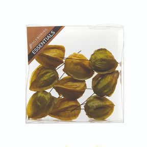 Kinesiske lygter grønne