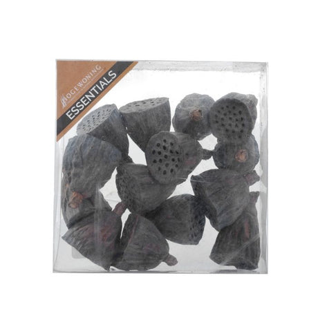 Lotus frøkapsler i æske