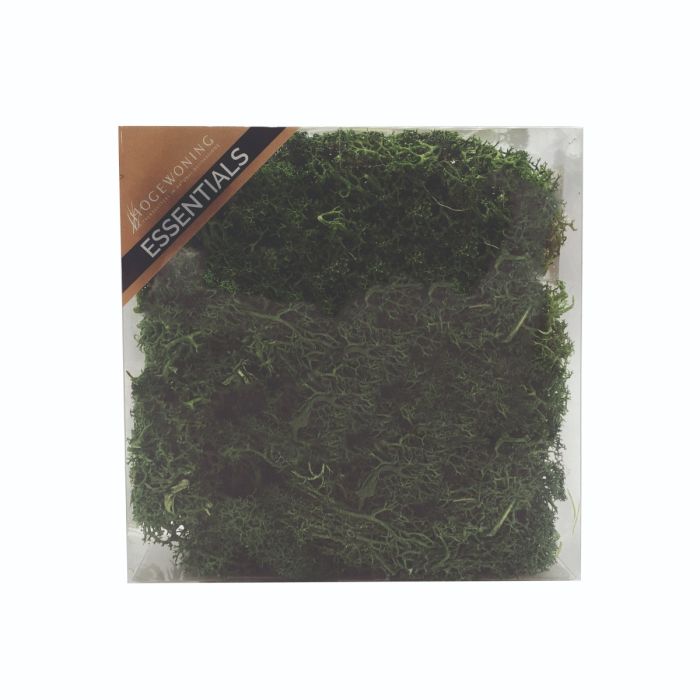 Mørkegrønt mos i æske