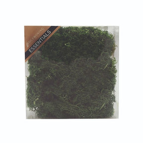 Mørkegrønt mos i æske